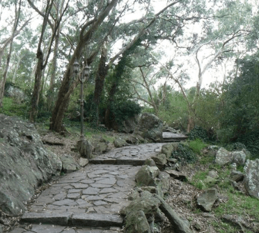 Recorrer el Monte Calvario